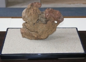 P6023552