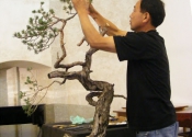 DSCF7773