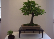 DSCF2047