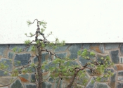 IMG_6433.JPG