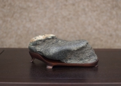 DSC_5121.jpg