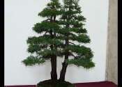 P1010410