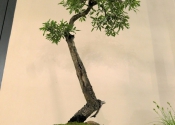1-208